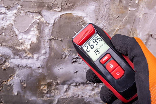 Best Water Damage Restoration  in Falls City, OR