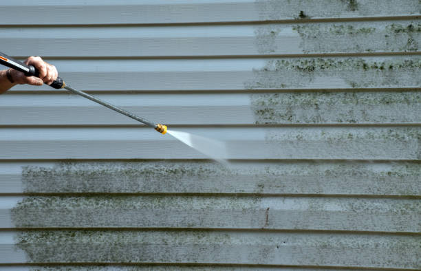 Certified Mold Removal in Falls City, OR