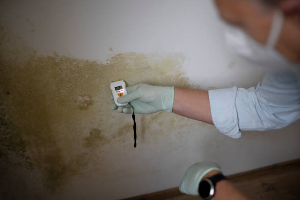  Falls City, OR Mold Removal Pros