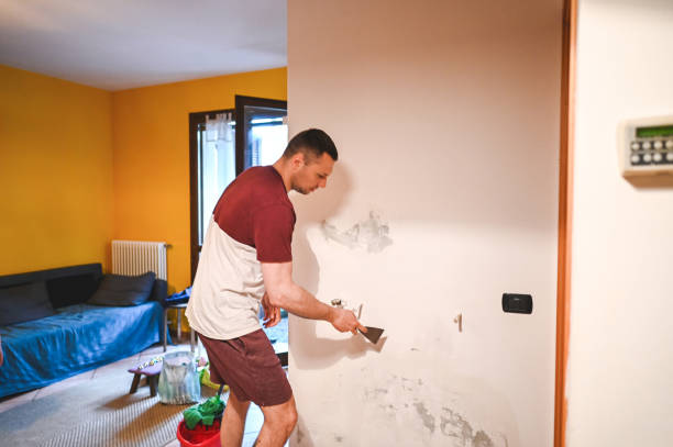 Best Office Mold Removal Services  in Falls City, OR